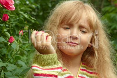 Little girl near the rose bush