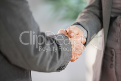 Business people shaking hands close up