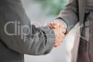 Business people shaking hands close up