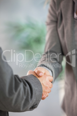 Business team shaking hands close up
