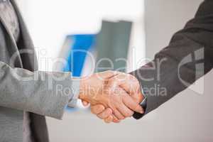 Two people having a handshake in an office