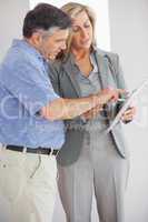 Estate agent explaining lease to customer