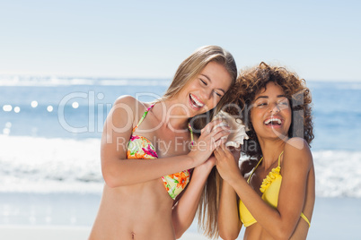 Two friends laughing while holding conch