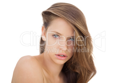 Attentive brunette model posing looking at camera