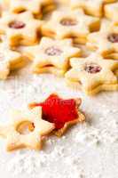 Gingerbread christmas cookie star powdered sugar