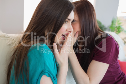 Brunette teen telling her surprised friend a secret