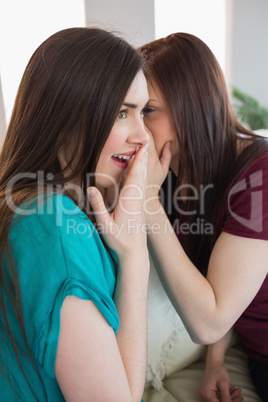 Brunette teen telling her shocked friend a secret