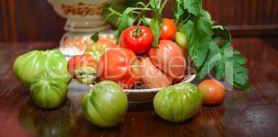 the tomato (solanum lycopersicum)