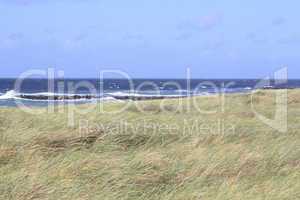 Dänischer Strand bei Wind