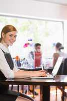 Attractive businesswoman working on laptop smiling at camera