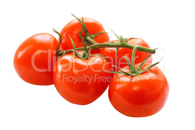 bunch of red tomatoes isolated on a white background