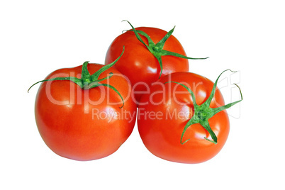 red tomatoes isolated on a white background