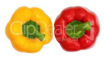 top view, red and yellow sweet  bell pepper isolated on white ba
