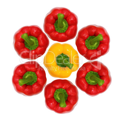 top view, red and yellow sweet  bell pepper isolated on white ba