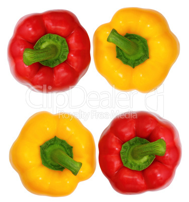 top view, red and yellow sweet  bell pepper isolated on white ba
