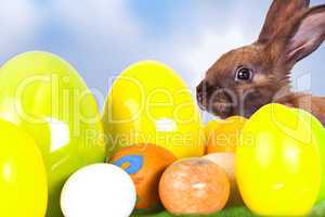 Rabbit with Easter eggs