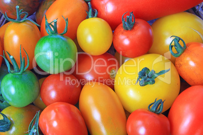 Colorful tomatoes