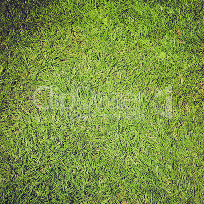 grass background