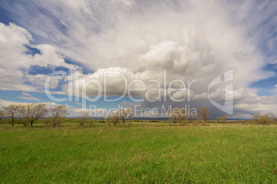 field, trees and blue sky