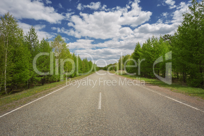 road in russian forest
