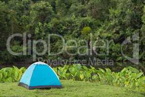 tent in wild nature