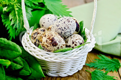 eggs quail in a white basket with nettles and sorrel