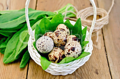 eggs quail in a white basket with sorrel on the board
