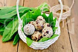 eggs quail in a white basket with sorrel on the board