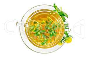 herbal tea with rhodiola rosea top