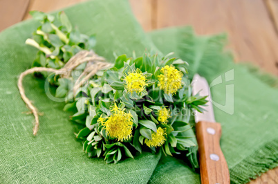 rhodiola rosea on the board with a knife