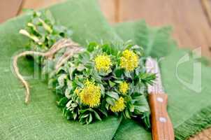 rhodiola rosea on the board with a knife