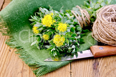 rhodiola rosea on the board