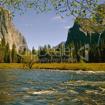 Yosemite National Park