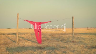 Clothesline and Red Long Johns