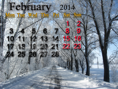 calendar for the february of 2014  with winter landscape