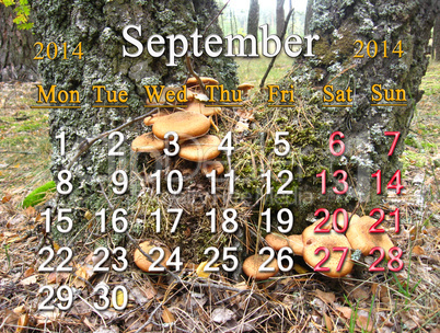 calendar for the september of 2014 on the background of mushrooms