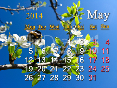 calendar for the may of 2014 year