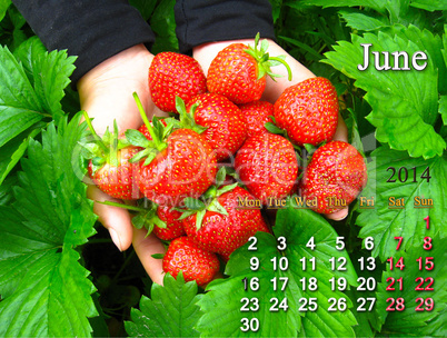 calendar for the june of 2014 year