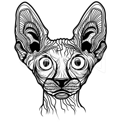 vector illustration of cat head