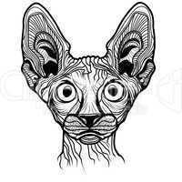 vector illustration of cat head