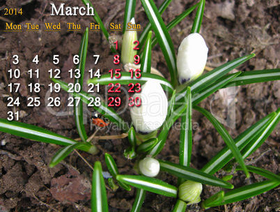 calendar for the march of 2014 year