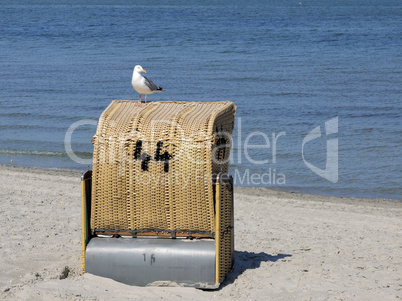 Strandkorb mit Möwe