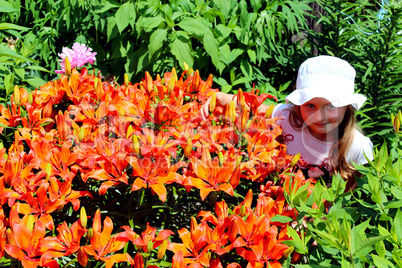 little girl smells lilies on the flower-bed