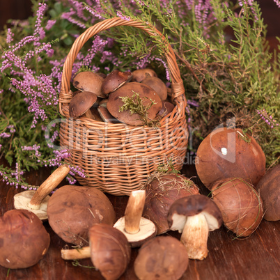 basket with mushrooms