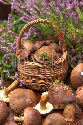 basket with mushrooms