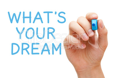 What is Your Dream