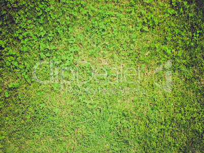 grass background