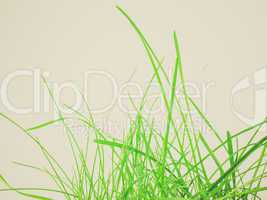 retro look green grass meadow