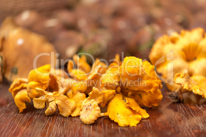 chanterelles