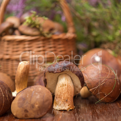 basket with mushrooms